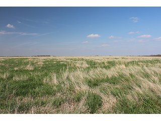 Tract 7 - LAND & MINERAL ACRES OKLAHOMA AUCTION, 588+/- Land & Producing Mineral Acres offered in 24 Tracts in Okmulgee County